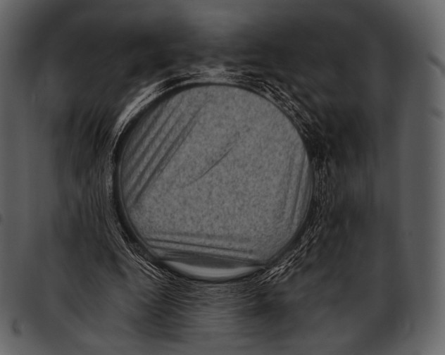 X0000097500344200803201557