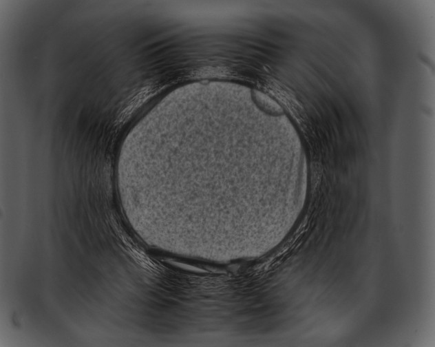 X0000097500345200803201557