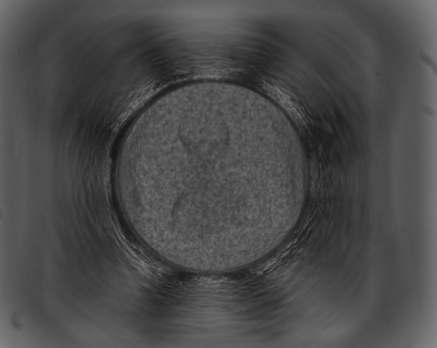 X0000097500346200803201557