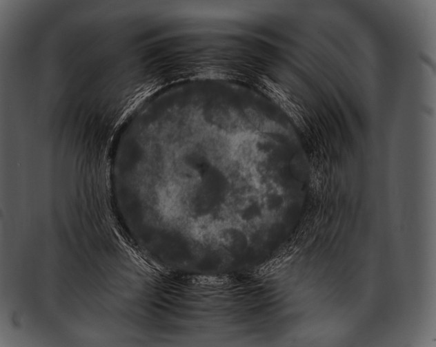 X0000097500347200803201557