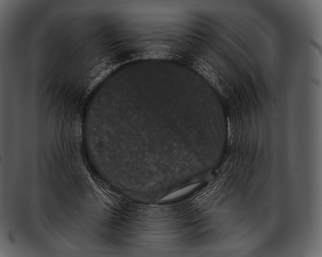 X0000097500348200803201557