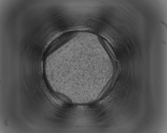 X0000097500350200803201557