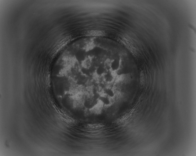 X0000097500351200803201557
