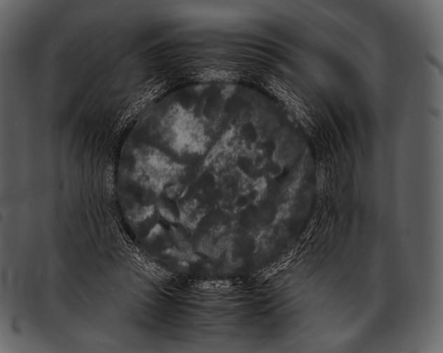 X0000097500353200803201557