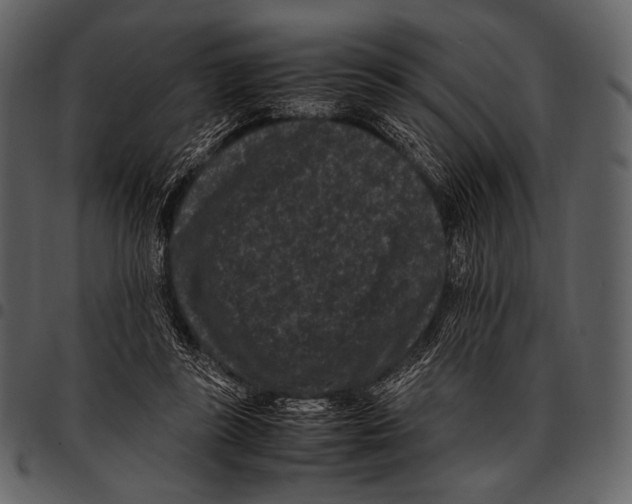 X0000097500355200803201557