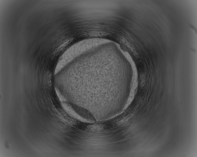 X0000097500356200803201557