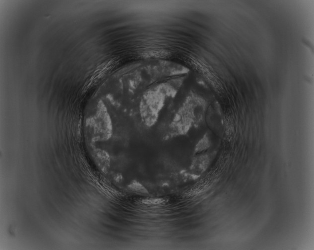 X0000097500357200803201557