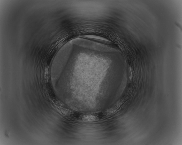 X0000097500360200803201557