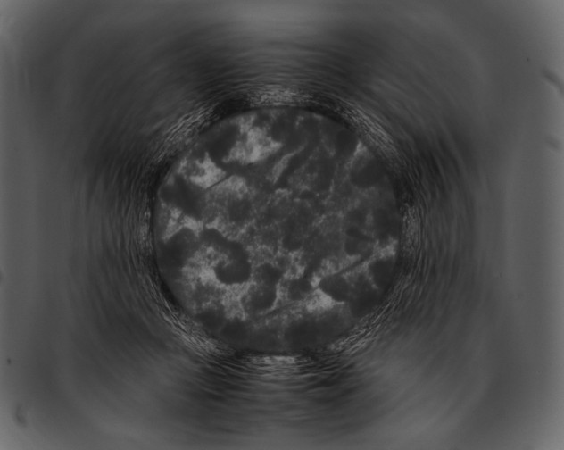 X0000097500361200803201557