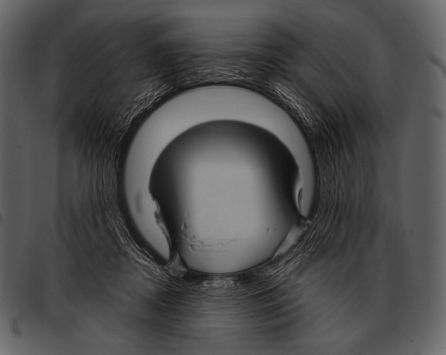X0000097500362200803201557