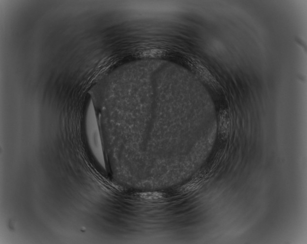 X0000097500363200803201557