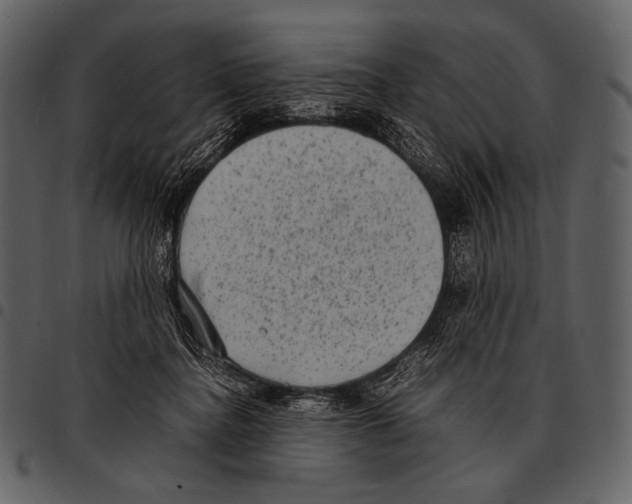 X0000097500364200803201557