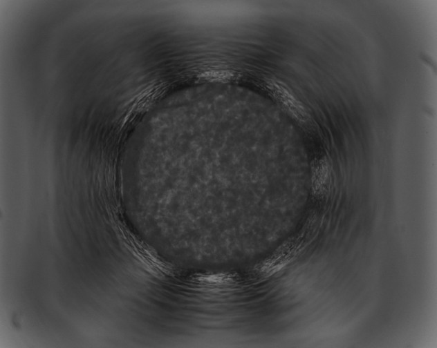 X0000097500365200803201557