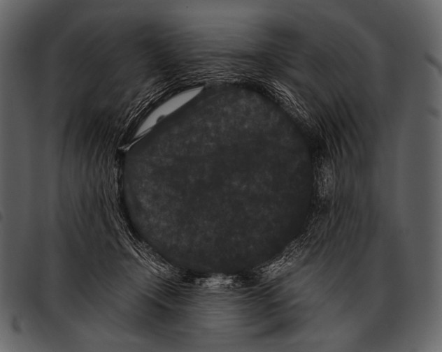 X0000097500366200803201557