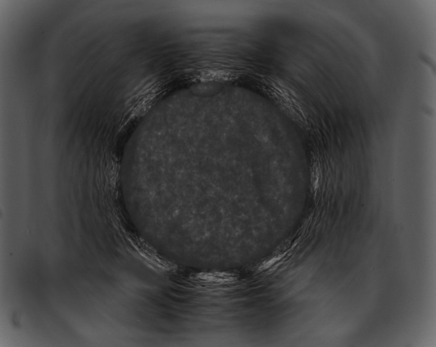 X0000097500367200803201557