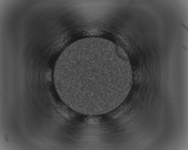X0000097500368200803201557