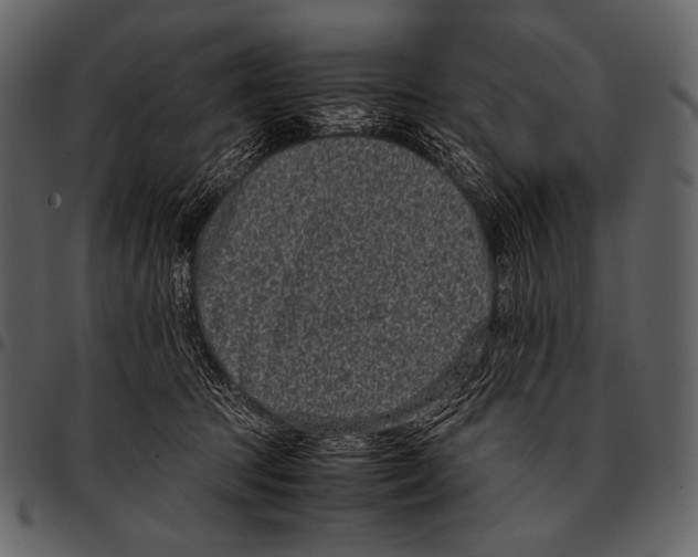 X0000097500369200803201557