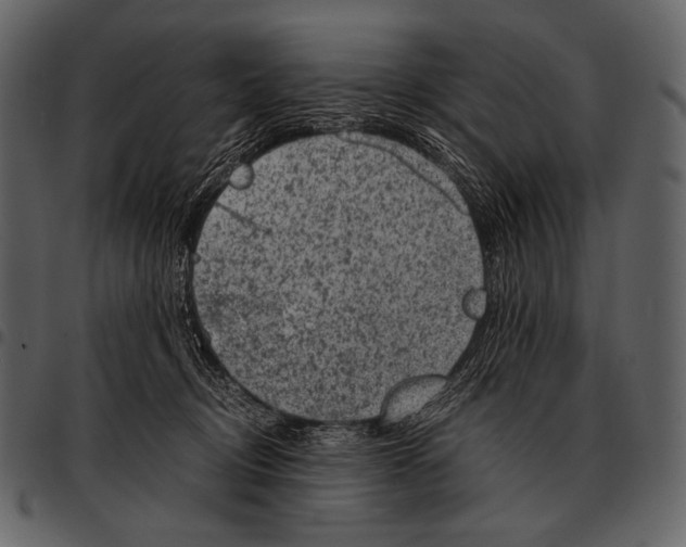 X0000097500370200803201557