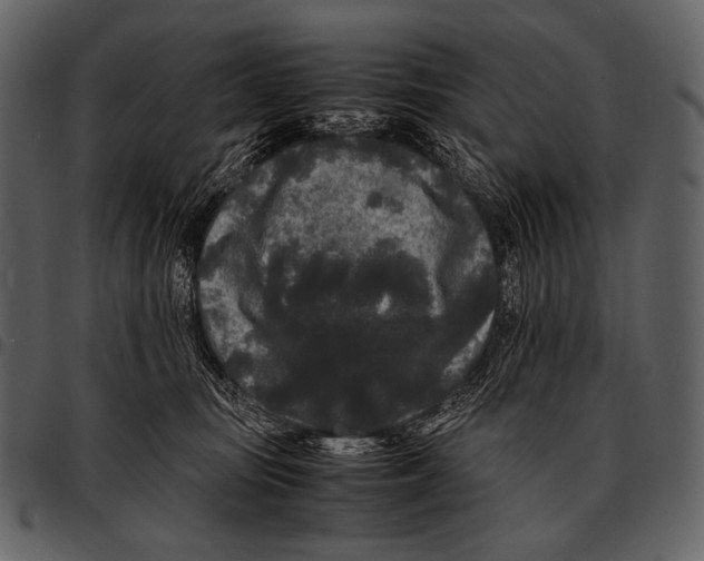 X0000097500371200803201557