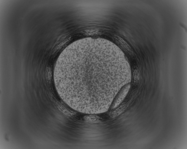 X0000097500372200803201557
