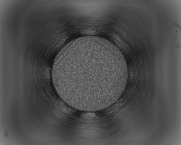 X0000097500374200803201557