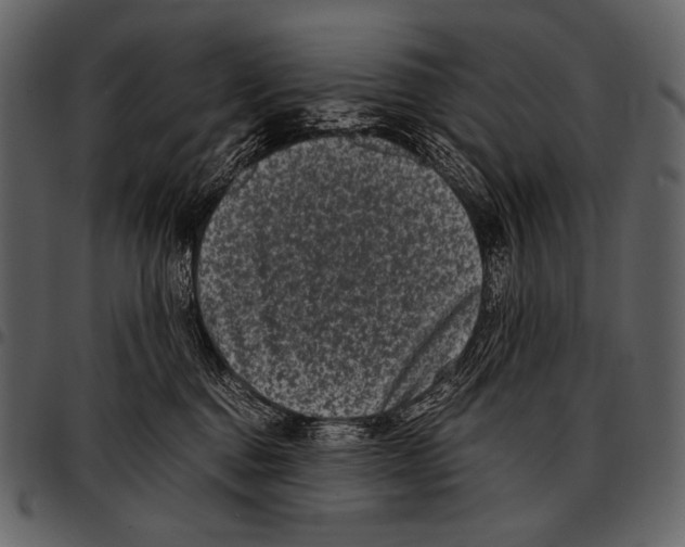 X0000097500376200803201557