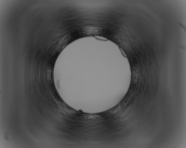 X0000097500379200803201557