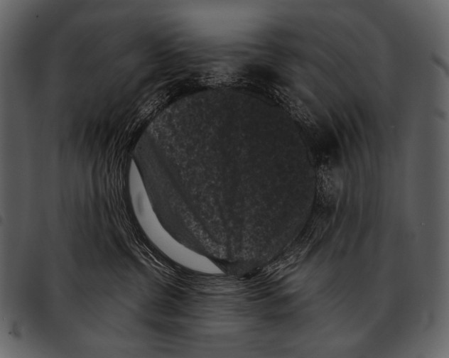 X0000097500380200803201557