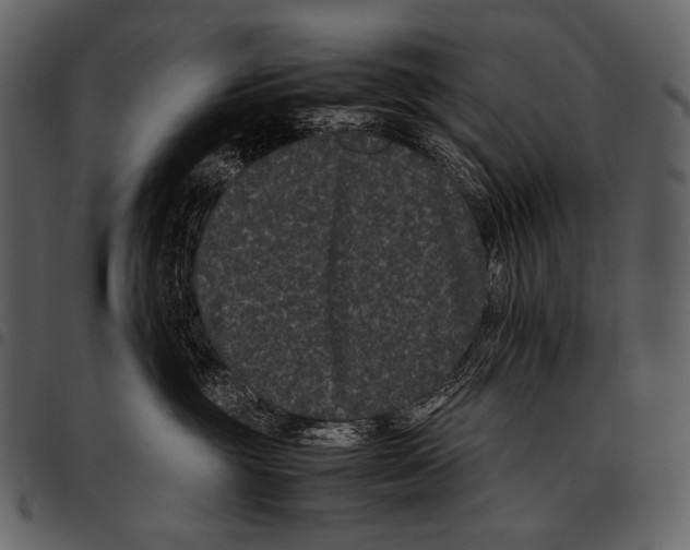 X0000097500381200803201557