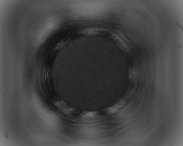 X0000097500382200803201557