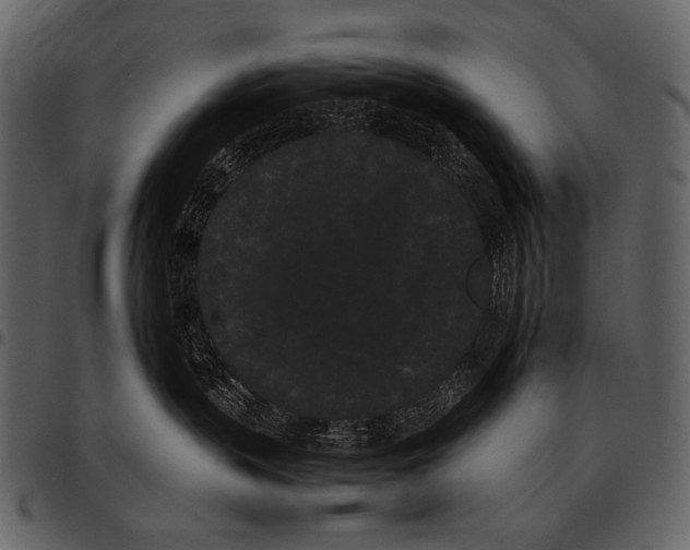 X0000097500383200803201557