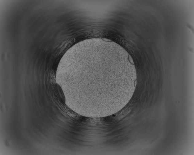 X0000097500384200803201558