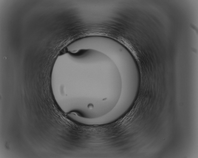 X0000097500385200803201557