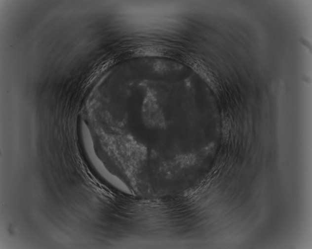 X0000097500386200803201557