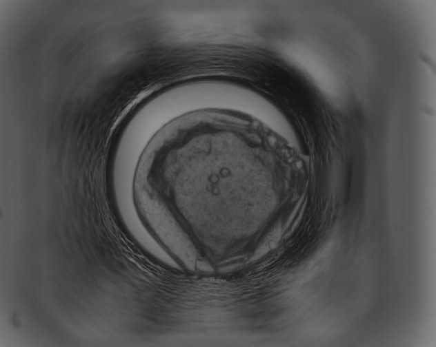 X0000097500387200803201557