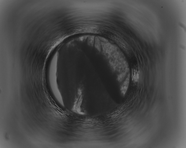 X0000097500388200803201557