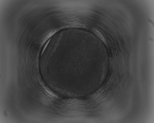 X0000097500389200803201557