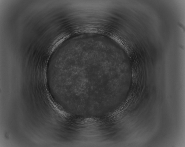 X0000097500390200803201557