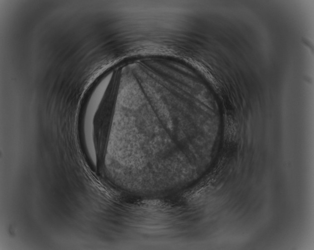 X0000097500391200803201557