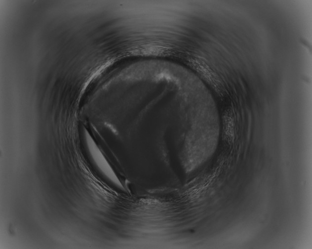 X0000097500392200803201557