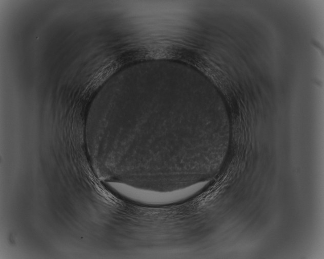 X0000097500393200803201557