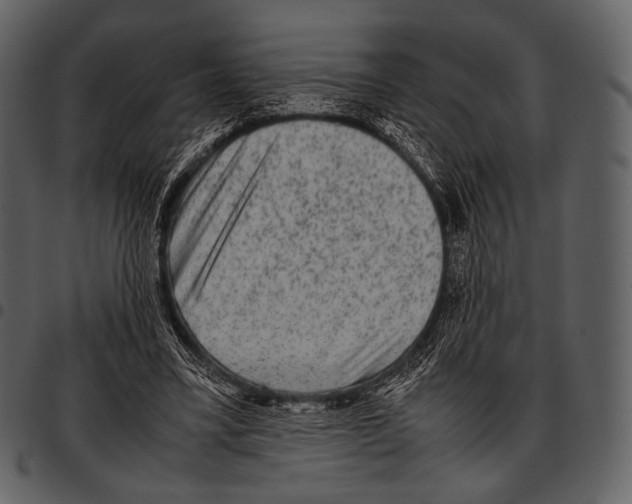 X0000097500395200803201557