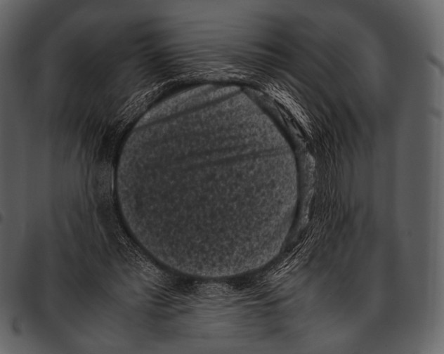 X0000097500397200803201557