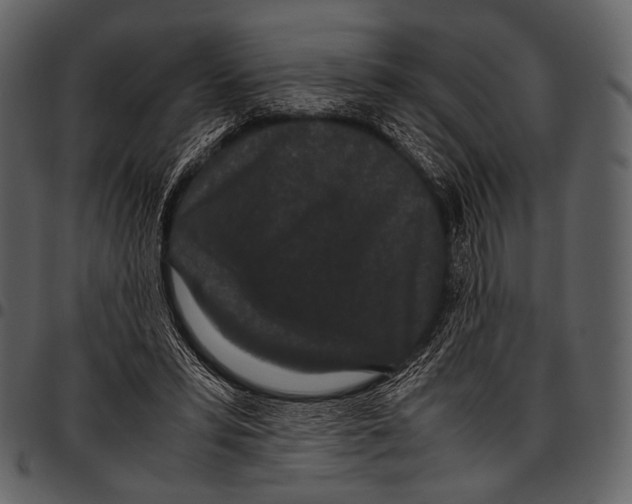 X0000097500399200803201557