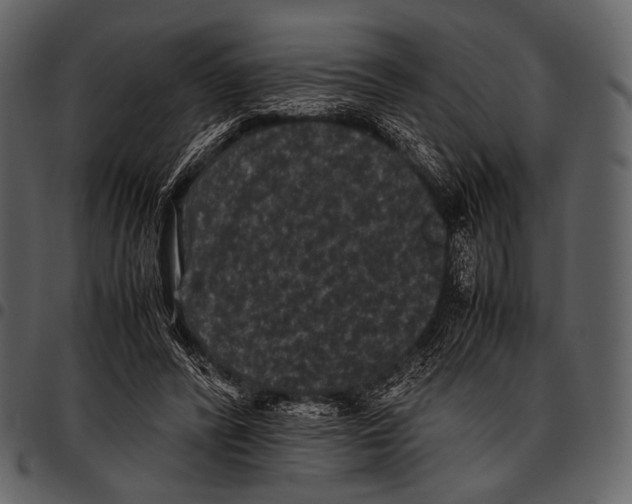 X0000097500400200803201557