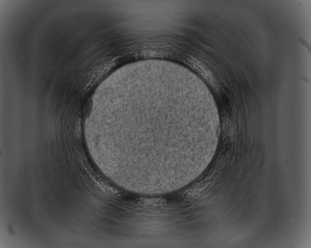 X0000097500401200803201557