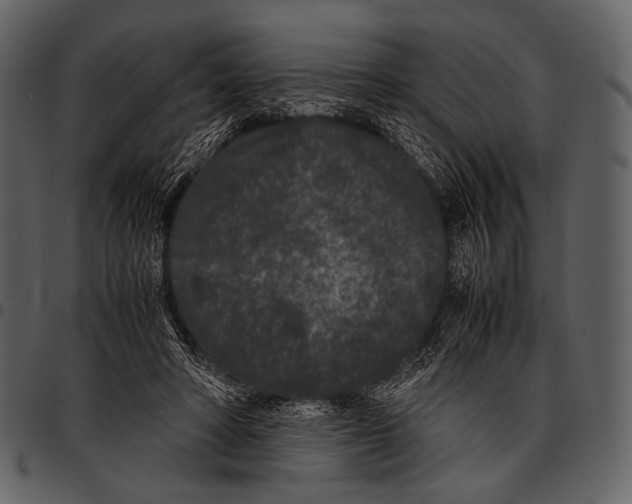 X0000097500402200803201557