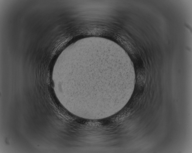 X0000097500403200803201557