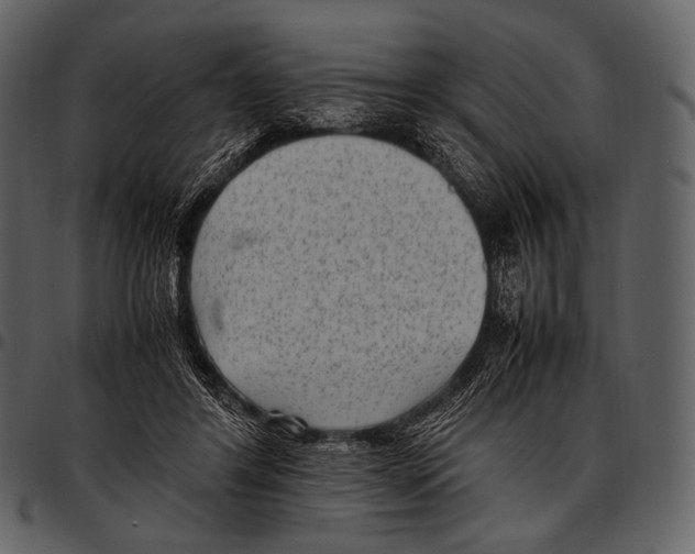 X0000097500404200803201557
