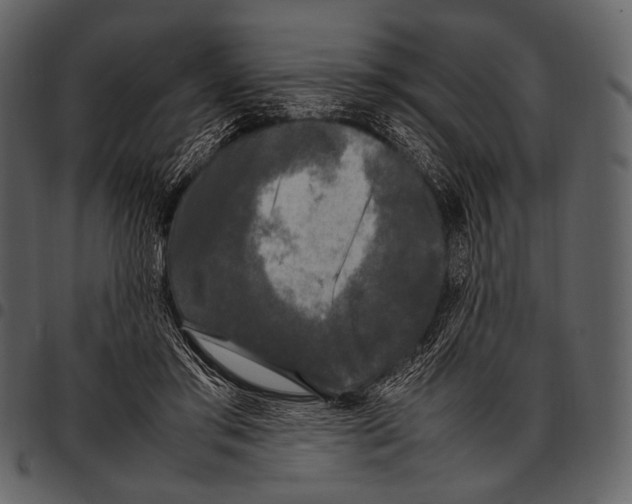 X0000097500405200803201557
